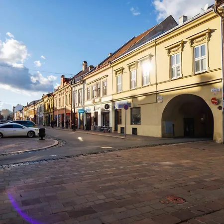 Apartment Alzbetina Old Town *